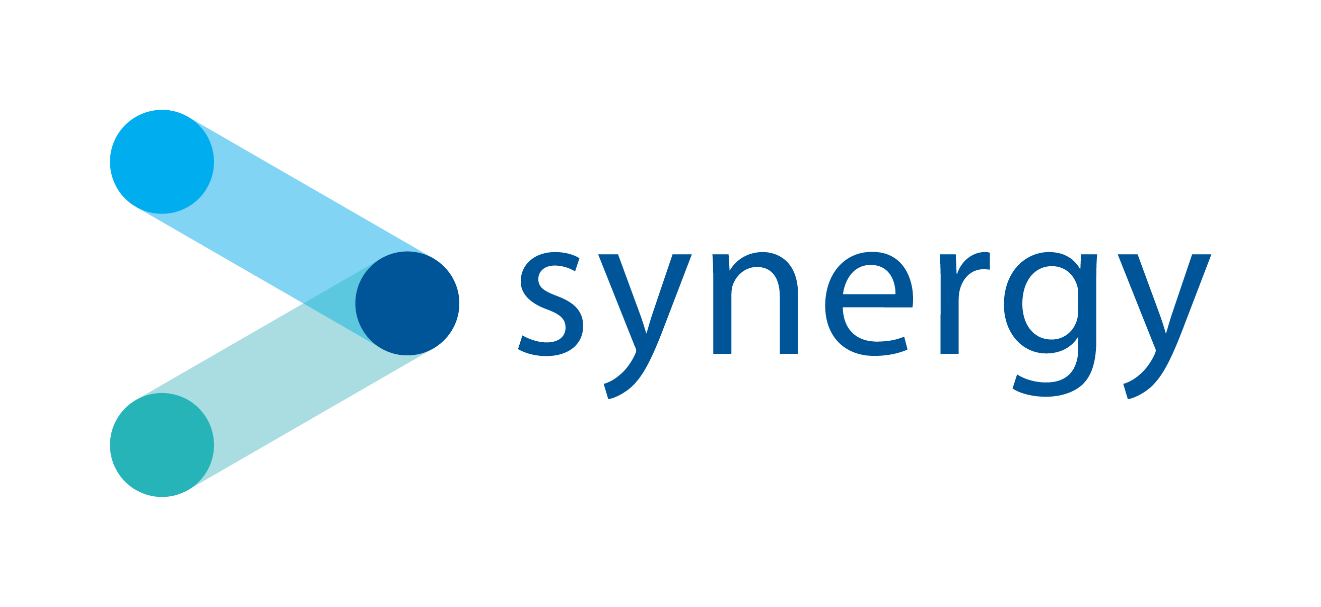 Synergy Logo